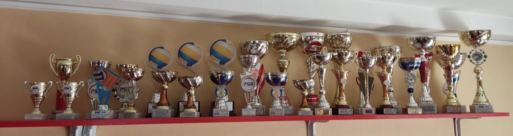 Real Busto Volley coppe