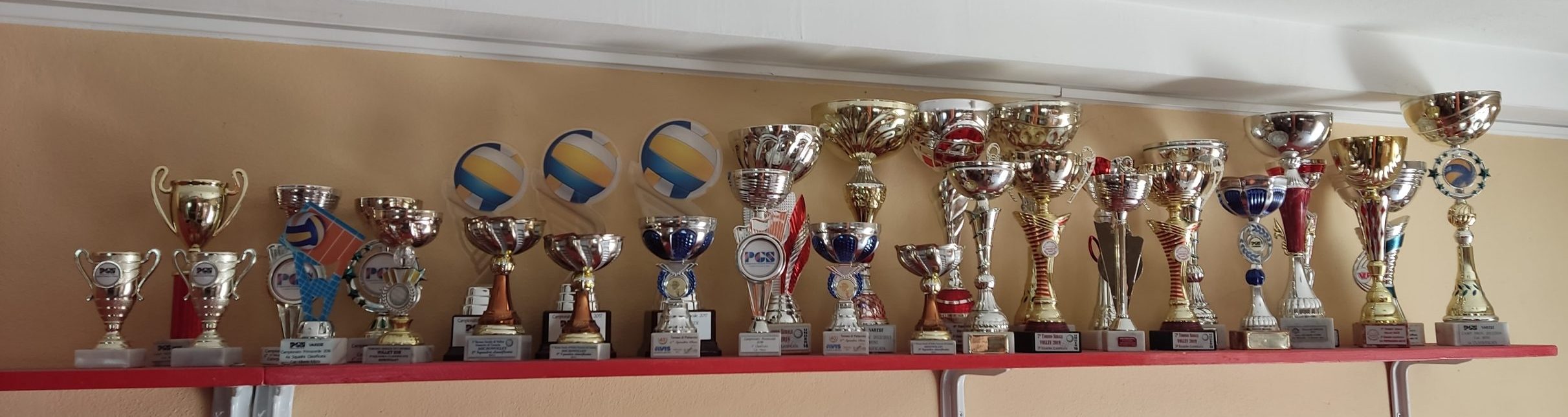 Real Busto Volley coppe